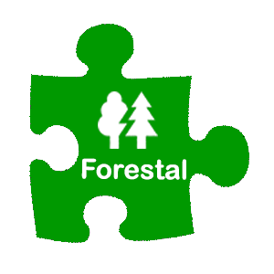 LiderUNO Forestal